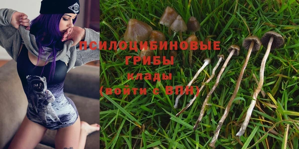 хмурый Дмитриев