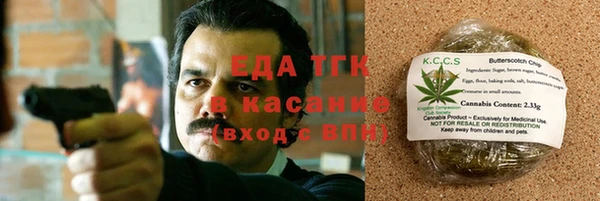 прущие грибы Усолье-Сибирское