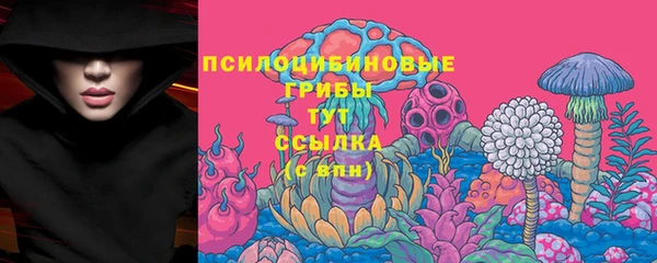гидропоника Дмитровск