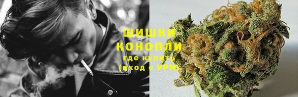 прущие грибы Усолье-Сибирское