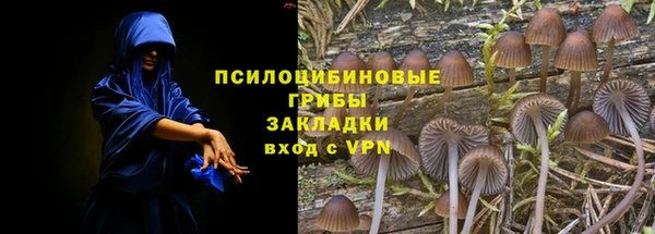 герыч Дмитров